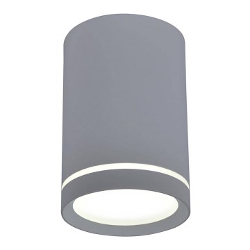 Таванна лампа TUBA GU10/15W/230V