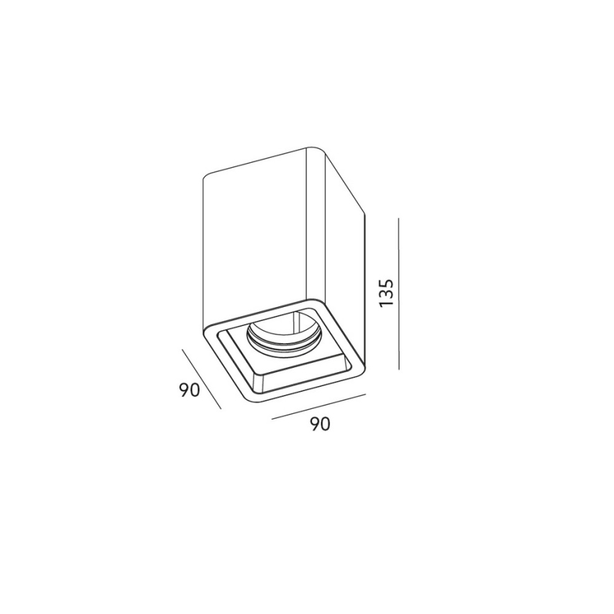 Таванна Точково осветително тяло NAOS 1xGU10/35W/230V