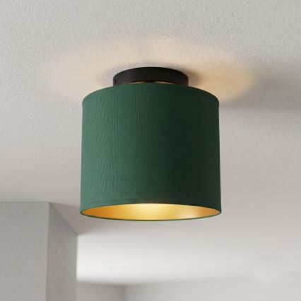 Таванно осветително тяло ARDEN 1xE27/15W/230V Ø 18 см, зелено