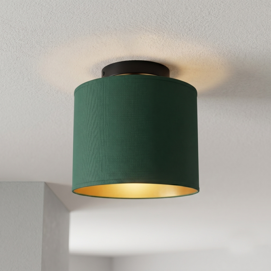 Таванно осветително тяло ARDEN 1xE27/15W/230V Ø 18 см, зелено
