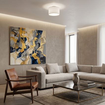 Таванно осветително тяло ARDEN 1xE27/15W/230V Ø 25 см бяло