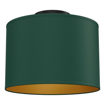 Таванно осветително тяло ARDEN 1xE27/15W/230V Ø 25 см зелено