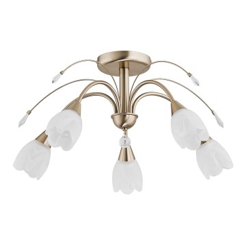 Таванно осветително тяло BASTER 5xE14/10W/230V златисто