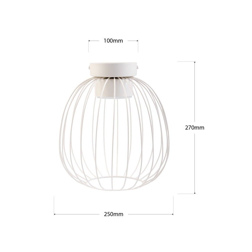 Таванно осветително тяло OVELLA 1xGX53/10W/230V Ø25 см, кремаво