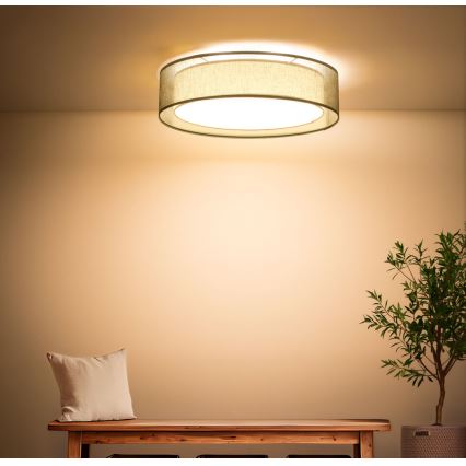 Таванно осветително тяло PURO, 2xE27/40W/230V, Ø 60 см, зелено