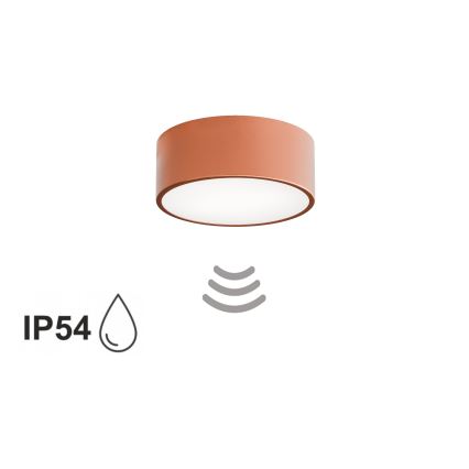 Таванно осветително тяло за баня със сензор CLEO 1xE27/24W/230V Ø20 см IP54 медно