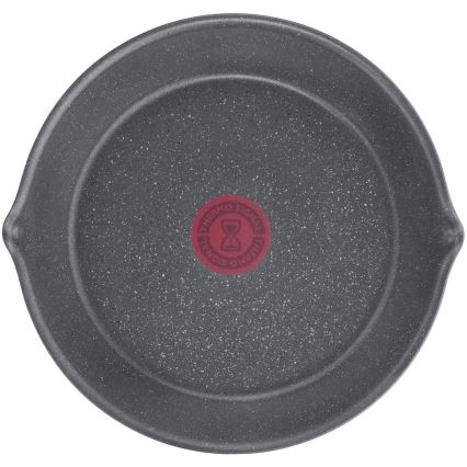 Tefal - Дълбок тиган INGENIO NATURAL FORCE 22 см