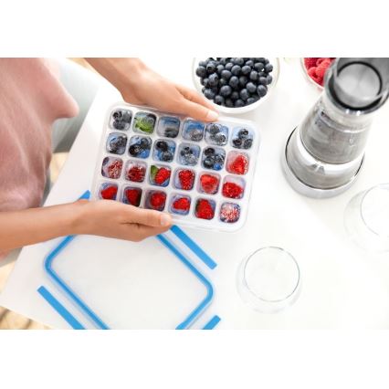 Tefal - Форма за лед 24 кубчета MASTER SEAL син