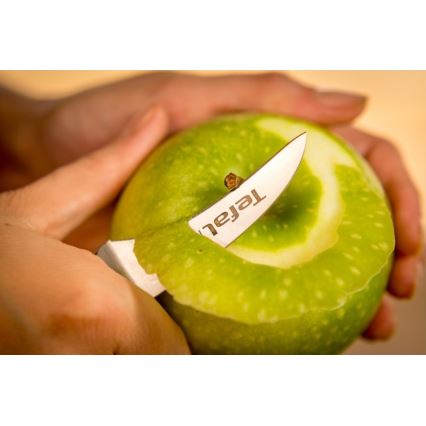 Tefal - Нож за изрязване от неръждаема стомана ICE FORCE 7 см, лъскав хром/черен