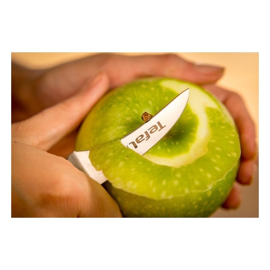 Tefal - Нож за изрязване от неръждаема стомана ICE FORCE 7 см, лъскав хром/черен