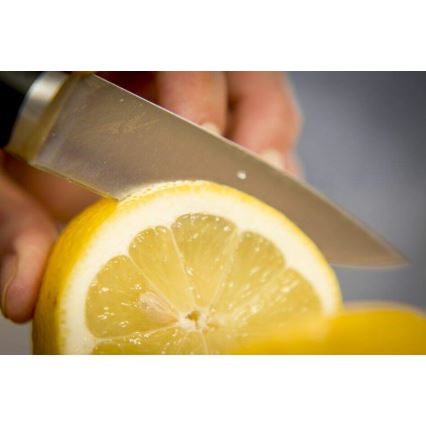 Tefal - Нож за изрязване от неръждаема стомана ICE FORCE 9 см, лъскав хром/черен