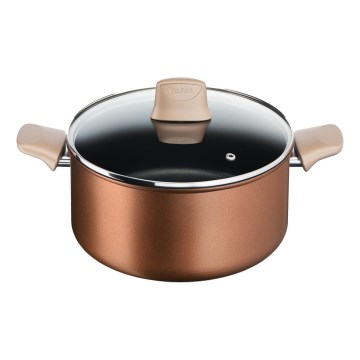 Tefal - Тенджера с капак RESPECT Ø 24 см