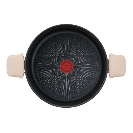 Tefal - Тенджера с капак RESPECT Ø 24 см