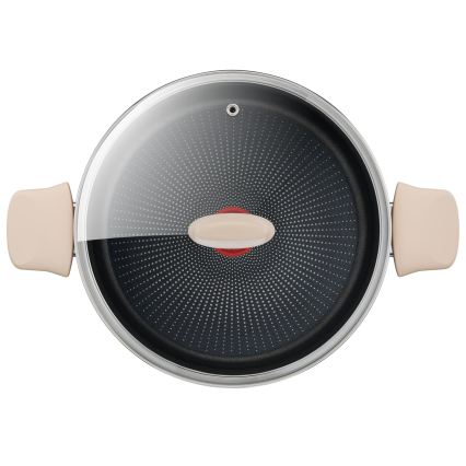 Tefal - Тенджера с капак RESPECT Ø 24 см