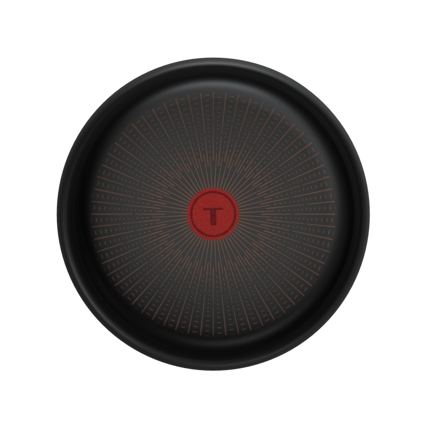 Tefal - Тиган INGENIO Excellence Fusion 24 см