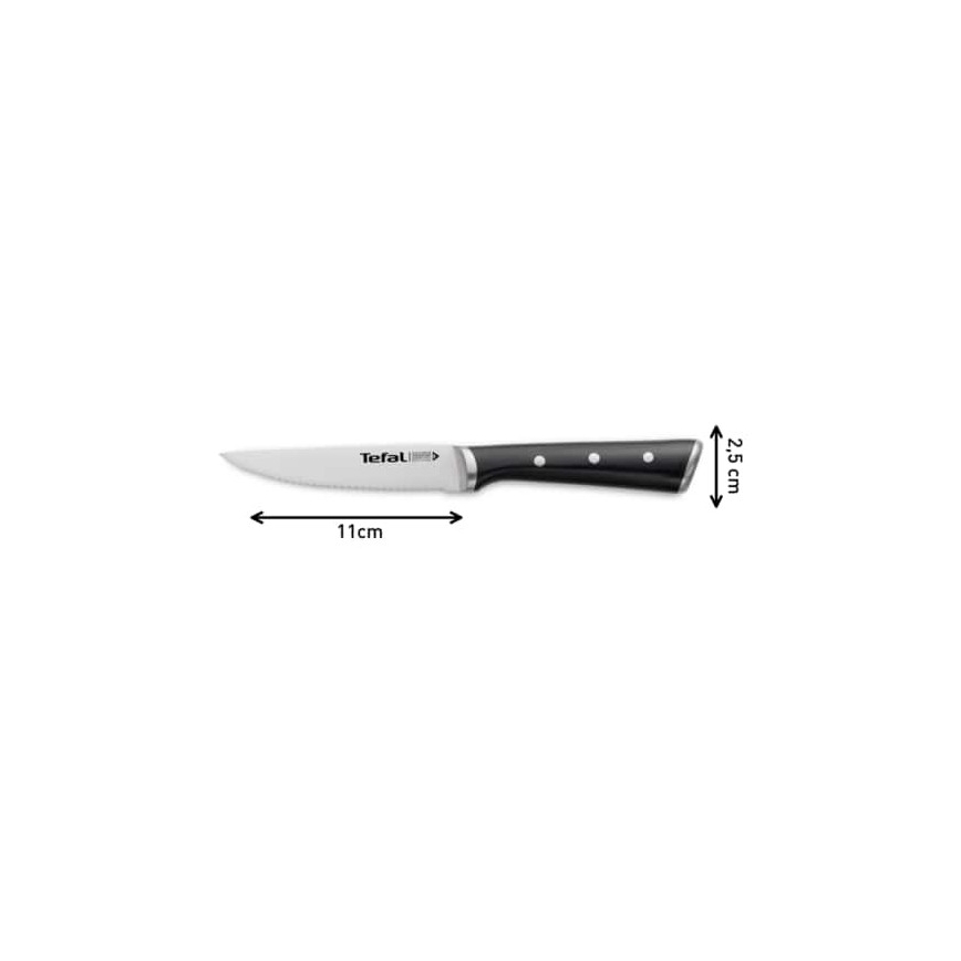 Tefal - К-кт 4x Нож за пържоли от неръждаема стомана ICE FORCE 11 см лъскав хром/черен