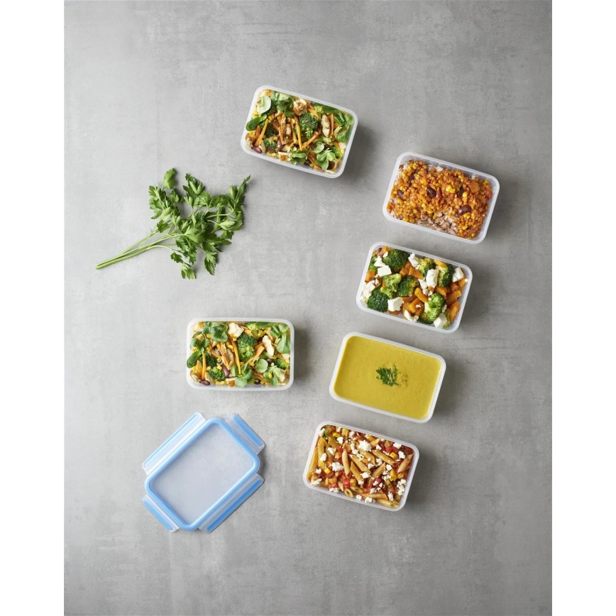 Tefal - К-кт 6x Контейнер за храна 0,8 l MASTER SEAL FRESH син