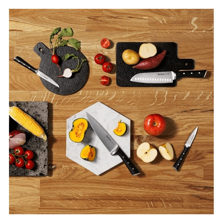 Tefal - К-кт готварски ножове в поставка ICE FORCE 6 бр.