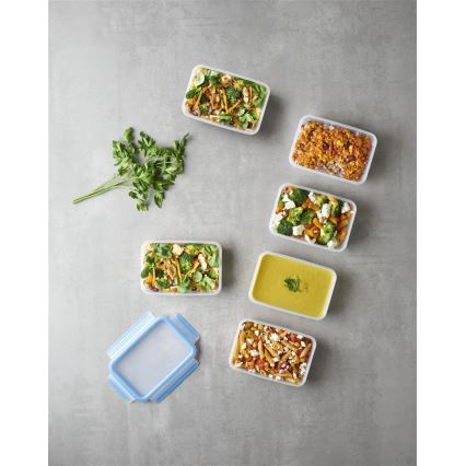 Tefal - КОМПЛЕКТ 6x кутии за храна 0,8 l MASTER SEAL FRESH синя