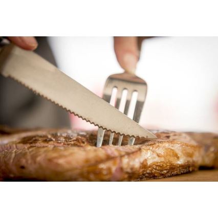 Tefal - Комплект от 4 бр. ножове за стек ICE FORCE, 11 см, от неръждаема стомана, блестящ хром/черен