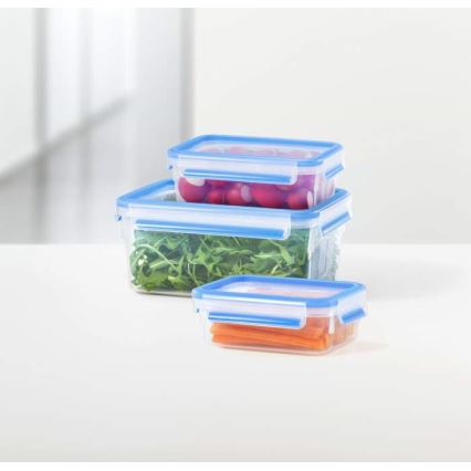 Tefal - Комплект от 5 бр. контейнери за храна MASTER SEAL FRESH, сини