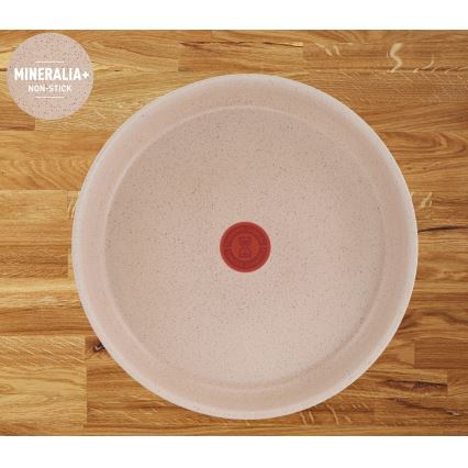 Tefal - Комплект от 6 съдове за готвене INGENIO DELIGHT