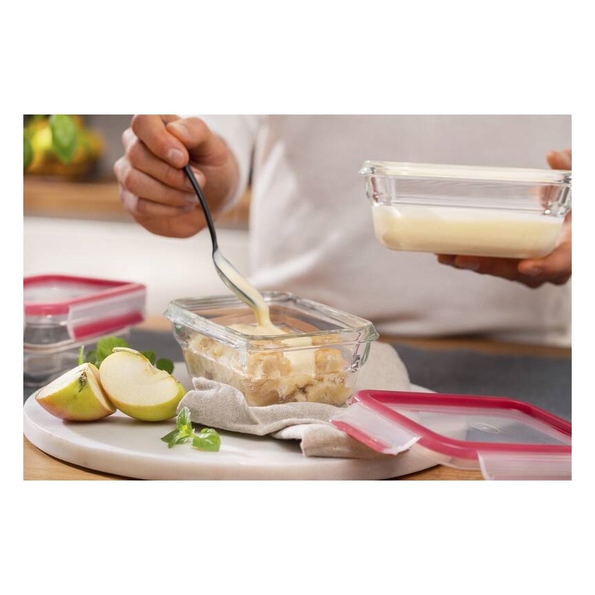 Tefal - Контейнер за храна 0,45 l MSEAL GLASS червен/стъкло
