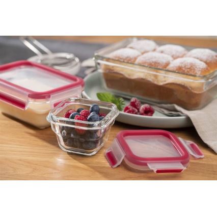Tefal - Контейнер за храна 0,45 l MSEAL GLASS червен/стъкло
