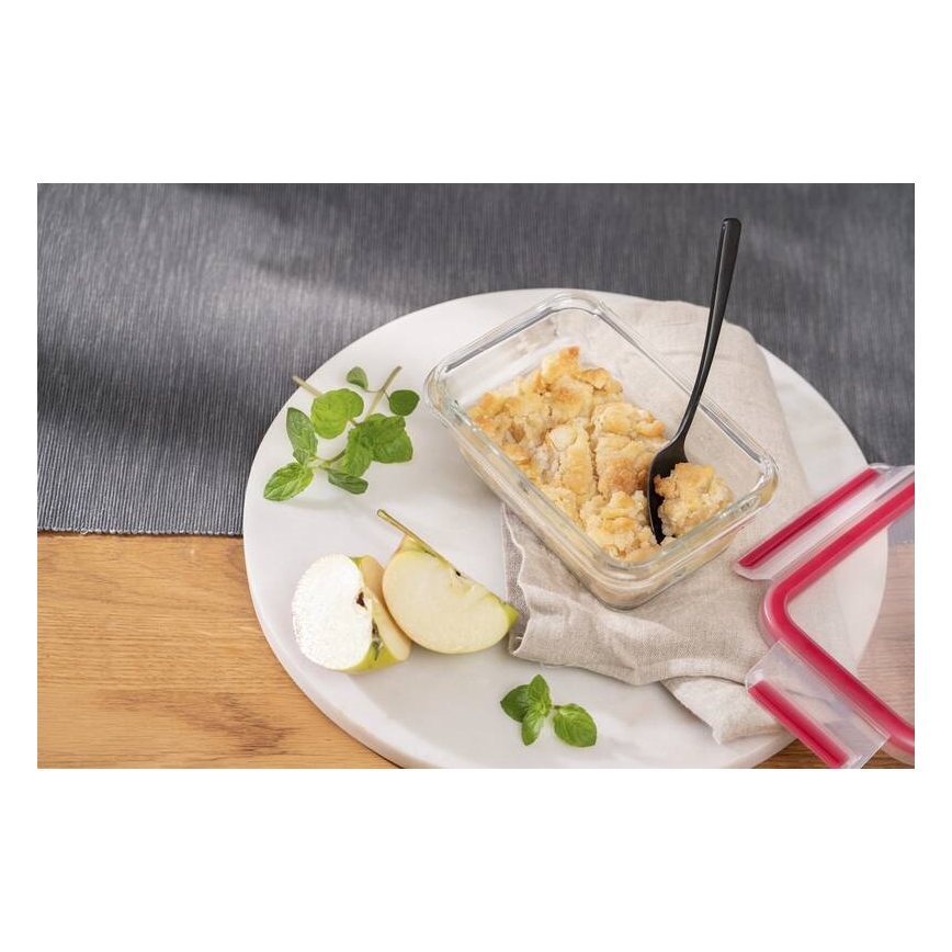Tefal - Контейнер за храна 0,45 l MSEAL GLASS червен/стъкло