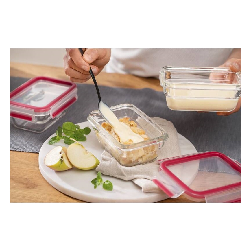 Tefal - Контейнер за храна 0,45 l MSEAL GLASS червен/стъкло