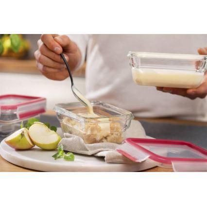 Tefal - Контейнер за храна 0,45 l MSEAL GLASS червен/стъкло