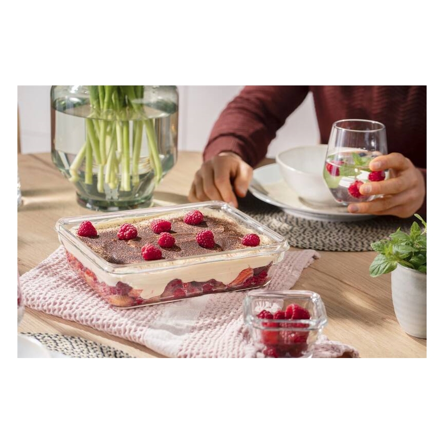 Tefal - Контейнер за храна 3 l MSEAL GLASS червен/стъкло