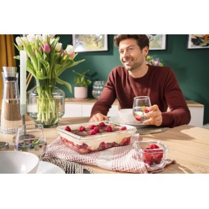 Tefal - Контейнер за храна 3 l MSEAL GLASS червен/стъкло