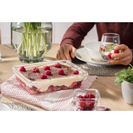 Tefal - Контейнер за храна 3 l MSEAL GLASS червен/стъкло