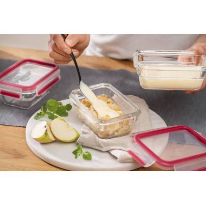 Tefal - Контейнер за храни 1,1 л MSEAL GLASS червен/стъкло