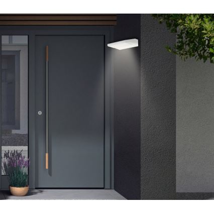 Telefunken - LED Външна стенна лампа LED/10W/230V IP44 бяла