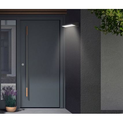 Telefunken - Външно стенно LED осветително тяло LED/10W/230V IP44 черно