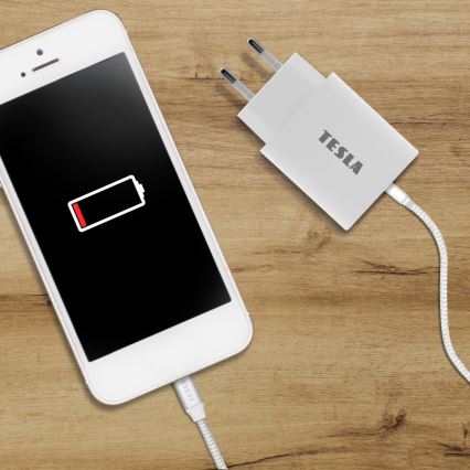 TESLA Electronics - Адаптер за бързо зареждане Power Delivery 20W бял