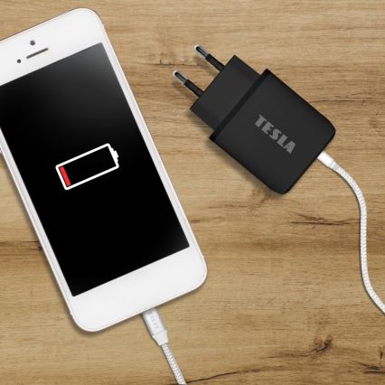 TESLA Electronics - Адаптер за бързо зареждане Power Delivery 25W черен