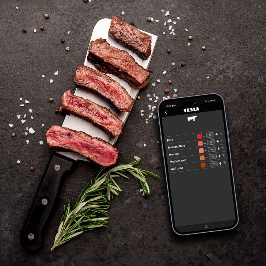 TESLA Electronics Cook - Дигитален термометър за месо със сонда 0-400 °C 2xAA IP65