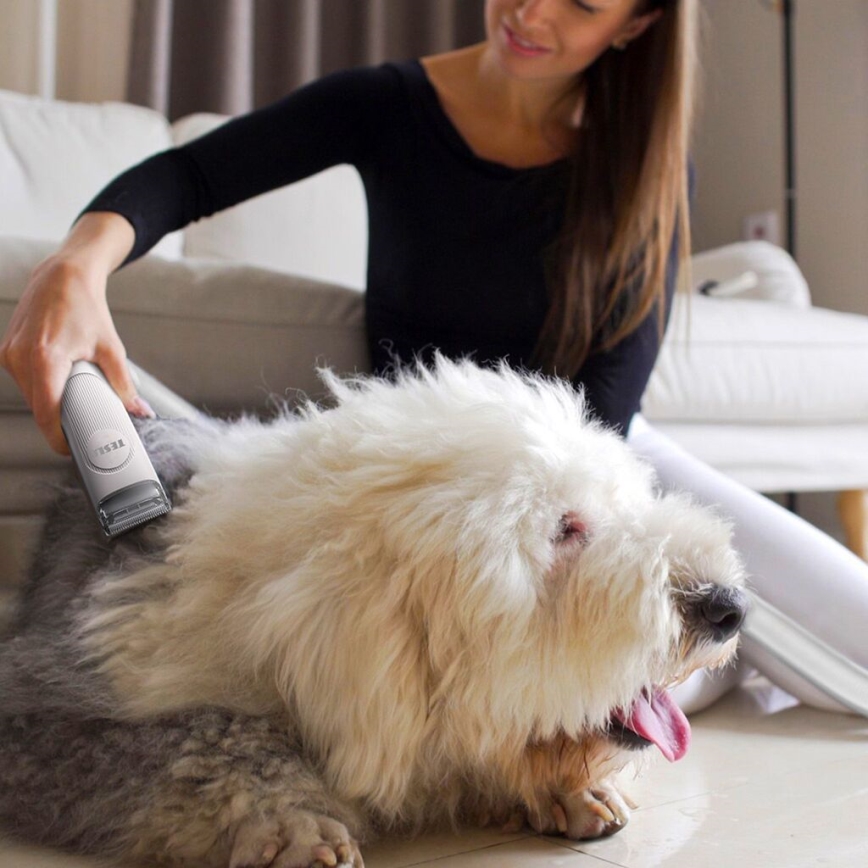 TESLA Electronics PetCare - Комплект за подстригване на домашни любимци 300W/230V