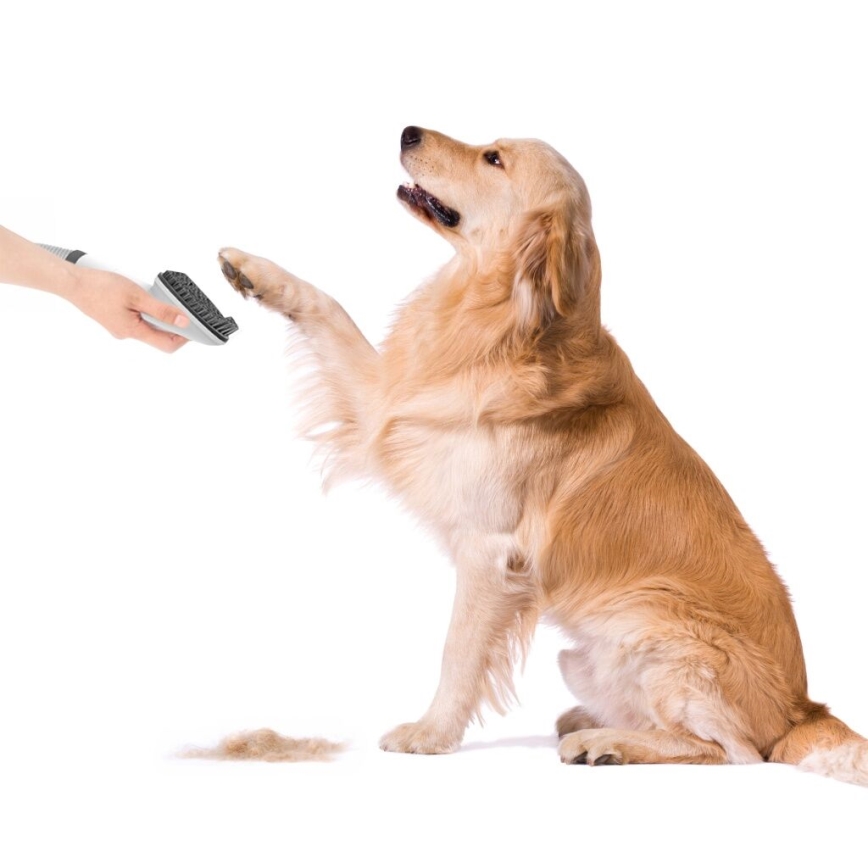 TESLA Electronics PetCare - Комплект за подстригване на домашни любимци 300W/230V