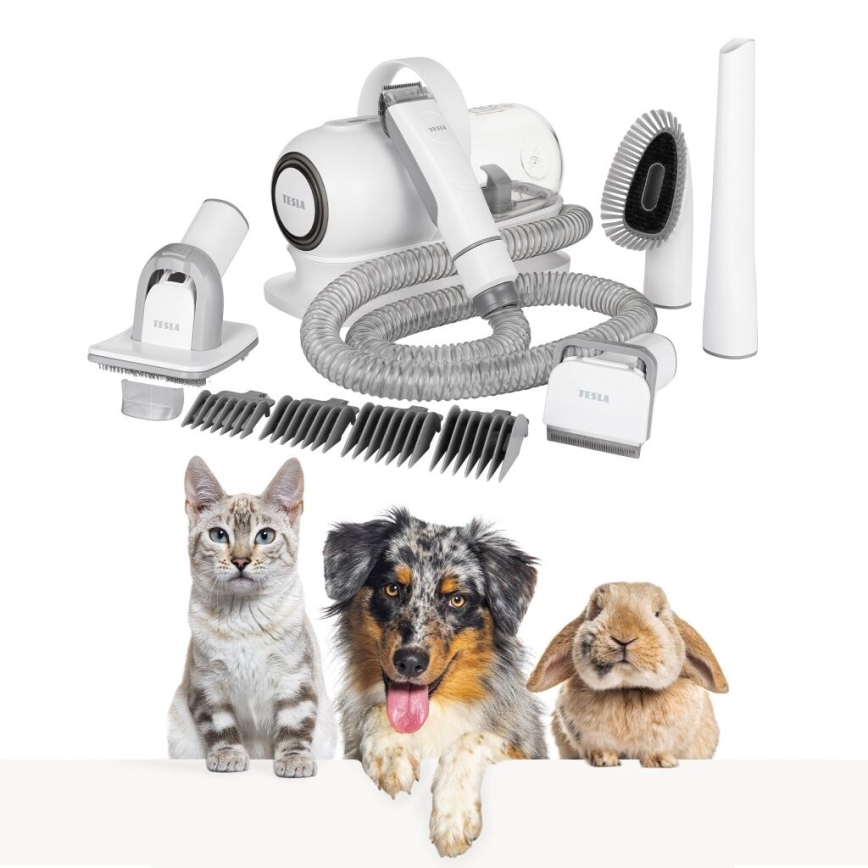 TESLA Electronics PetCare - Комплект за подстригване на домашни любимци 300W/230V