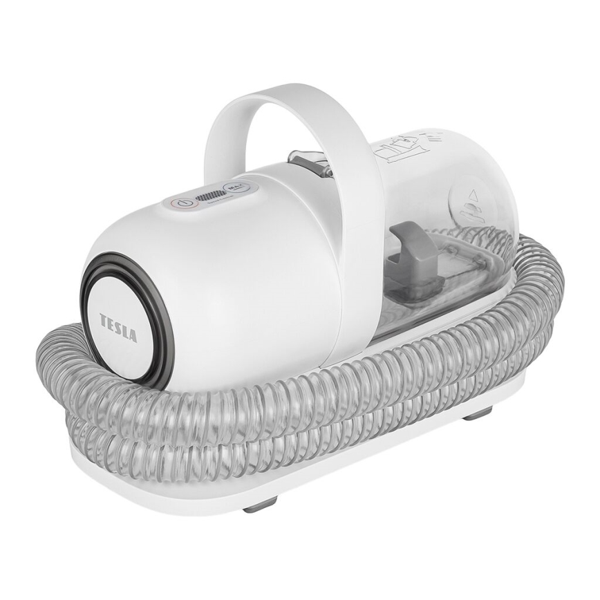 TESLA Electronics PetCare - Комплект за подстригване на домашни любимци 300W/230V