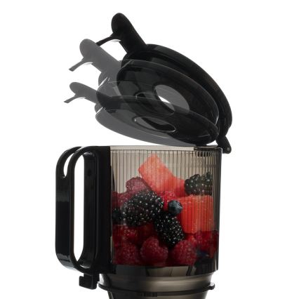 TESLA Electronics SlowJuicer Deluxe - Сокоизстисквачка с ниски обороти 250W/230V неръждаем/черен