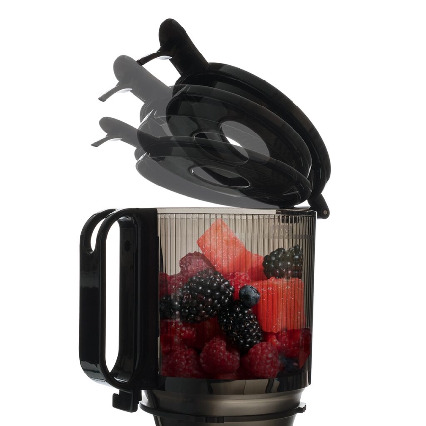 TESLA Electronics SlowJuicer Deluxe - Сокоизстисквачка с ниски обороти 250W/230V неръждаем/черен