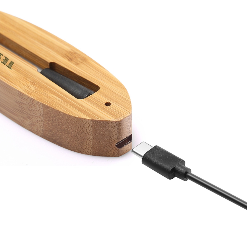 TESLA Electronics - Смарт термометър за месо със стойка за зареждане 0-300 °C 5V IP67