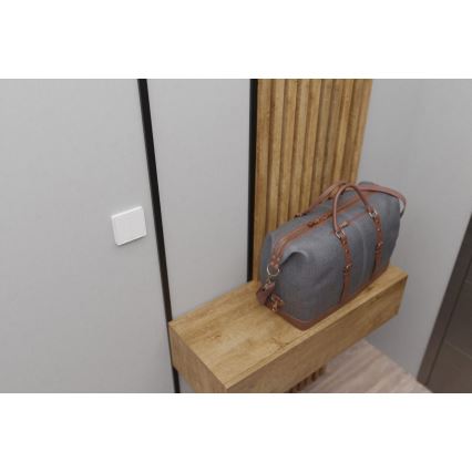 TESLA Smart - Умен безжичен домашен ключ 2P 1xCR2430 ZigBee