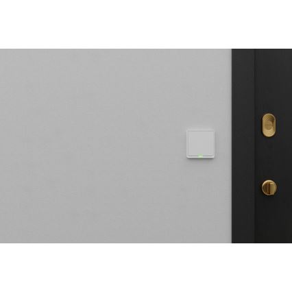 TESLA Smart - Смарт домашен превключвател 1P 230V Wi-Fi