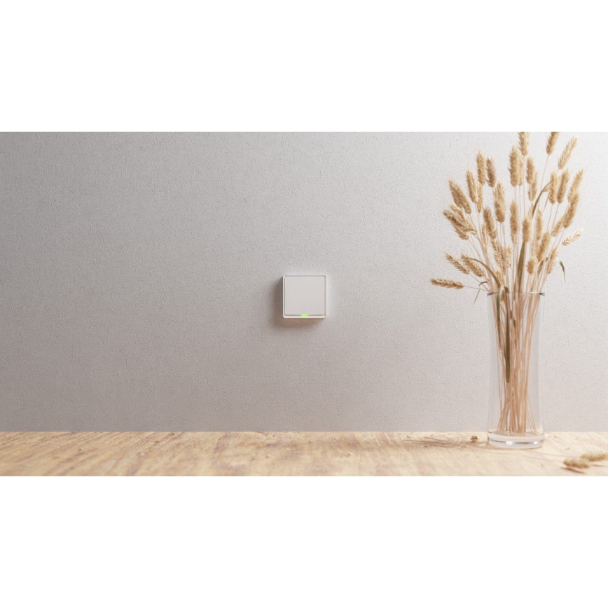 TESLA Smart - Смарт домашен превключвател 1P 230V Zigbee